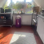 Apartment Charmante Mit Garten, Gemuetlich, Ruhig, Zentral *