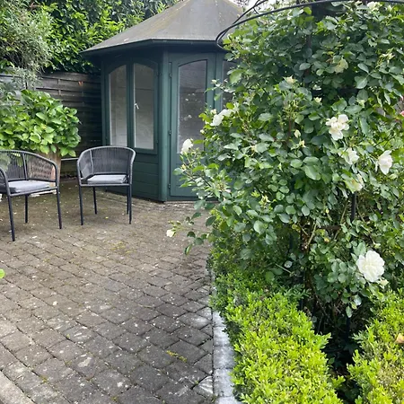 Charmante Im Hinterhof *