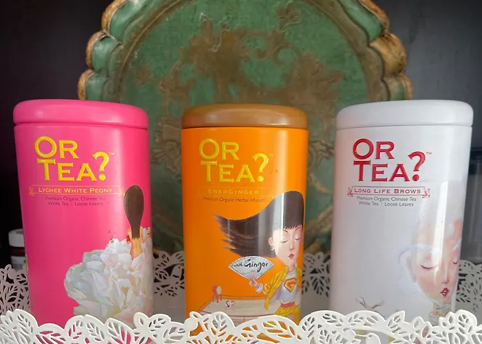 شقة Charmante Wohnung Mit Garten, Gemuetlich, Ruhig, Zentral