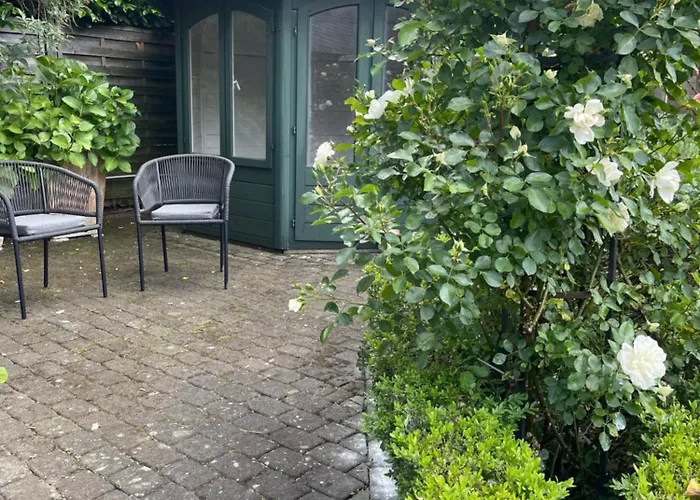 Charmante Im Hinterhof *